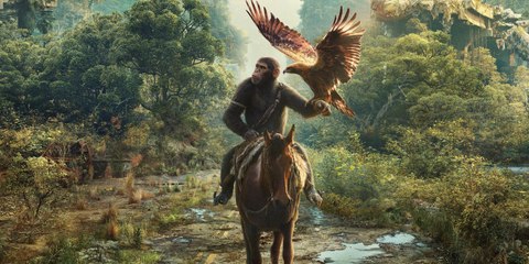 El Planeta De Los Simios: Nuevo Reino | Tráiler final subtitulado