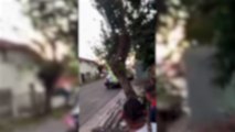Vídeo registra tiroteio em Pinhais