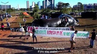 Cinzas da Floresta (Trailer) | 12ª Mostra Ecofalante de Cinema