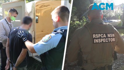 Dog seized, man arrested after allegedly producing online bestiality content