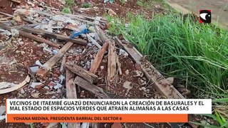 Vecinos de Itaembé Guazú denunciaron la creación de basurales y el mal estado de espacios verdes que atraen alimañas a las casas