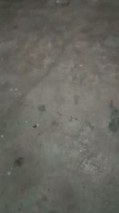 Muhammad Ahmad Rafi Mama pass nai jana