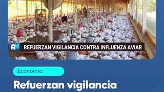 Refuerzan vigilancia contra influenza aviar