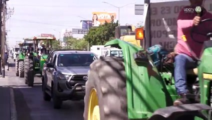 Sader Jalisco respalda exigencia de agricultores tras manifestación por un precio justo en el maíz