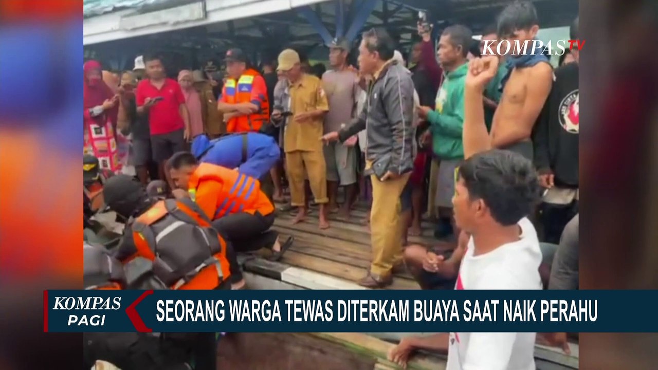 Seorang Warga di Sulteng Tewas Diterkam Buaya saat Naik Perahu