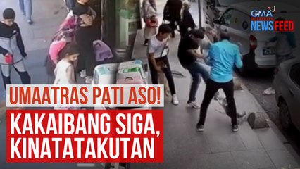 Umaatras pati aso! Kakaibang siga, kinatatakutan | GMA Integrated Newsfeed