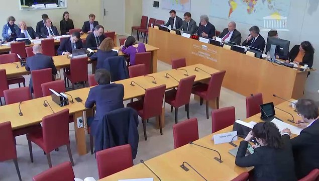 Commission des affaires étrangères : M. Thierry Breton, commissaire européen chargé du marché intérieur, de la politique industrielle, du tourisme, du numérique, de l’audiovisuel, de la défense et de l’espace - Mardi 30 avril 2024