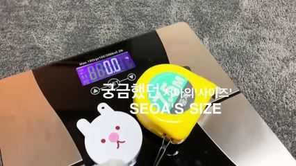 Everything you were curious about All about my Size ㅣVLOG