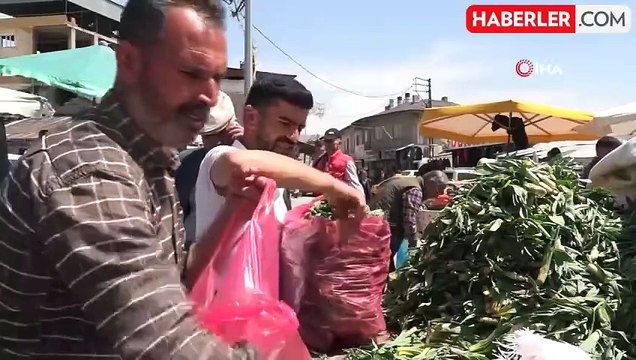 Erciş'te çiriş otu tezgahlardaki yerini aldı