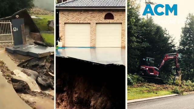 How planting native trees can protect your property from climate change and landslides