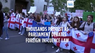 Police beat and arrest Tbilisi protesters as parliament debates controversial transparency law