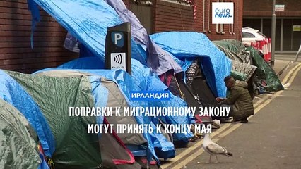 Ирландия планирует возвращать мигрантов из Великобритании 🚨
