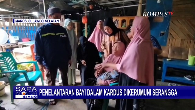 Dibuang dalam Kardus di Dekat Tempat Sampah, Bayi Ditemukan dalam Kondisi Dikerumuni Serangga!