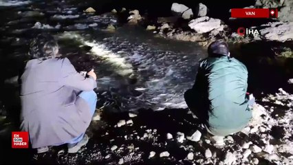 İnci kefalinin muhteşem gece yolculuğu başladı