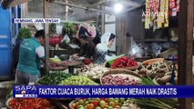 Harga Bawang dan Cabai Terus Meroket di Sejumlah Daerah! Apa Penyebabnya?