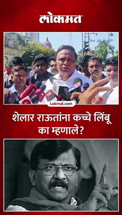आशिष शेलार यांनी संजय राऊतांना कच्चे लिंबू का म्हटलं?