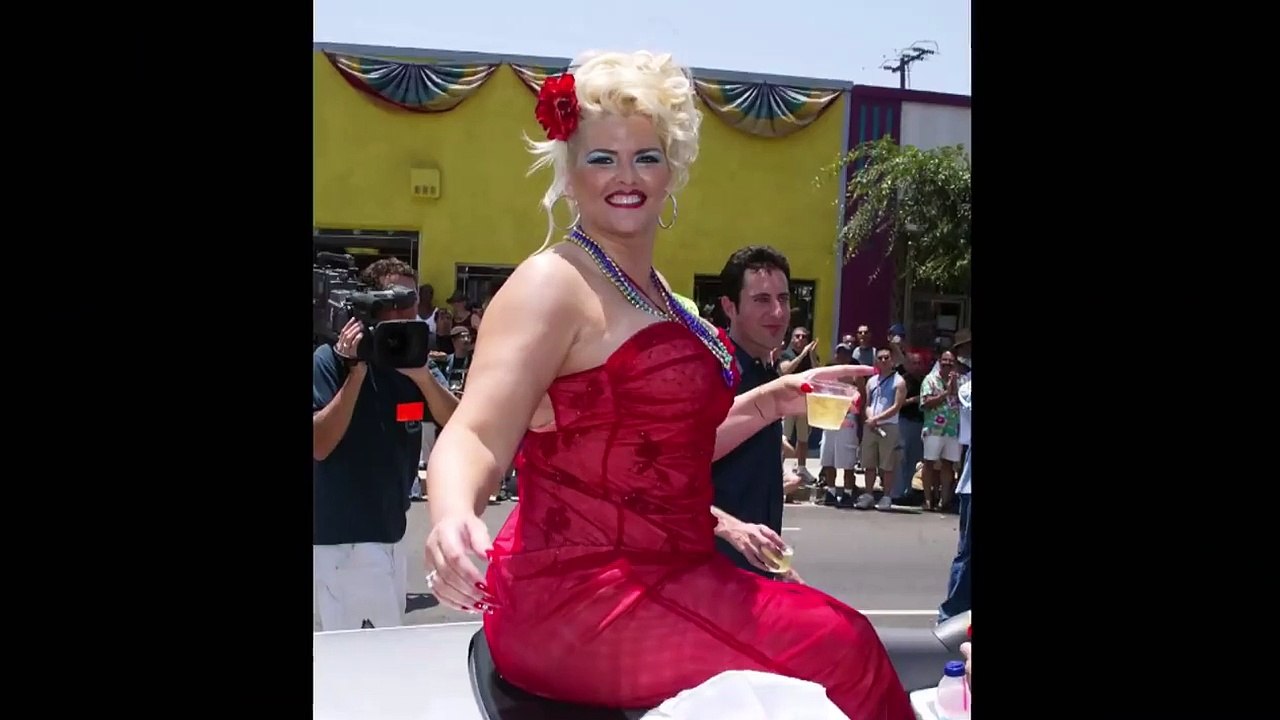 Anna Nicole Smith: Her Final Hours (2010)