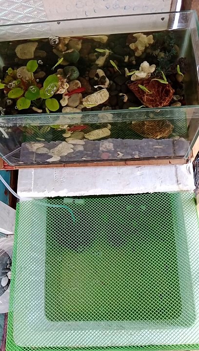 Bagong Set Up