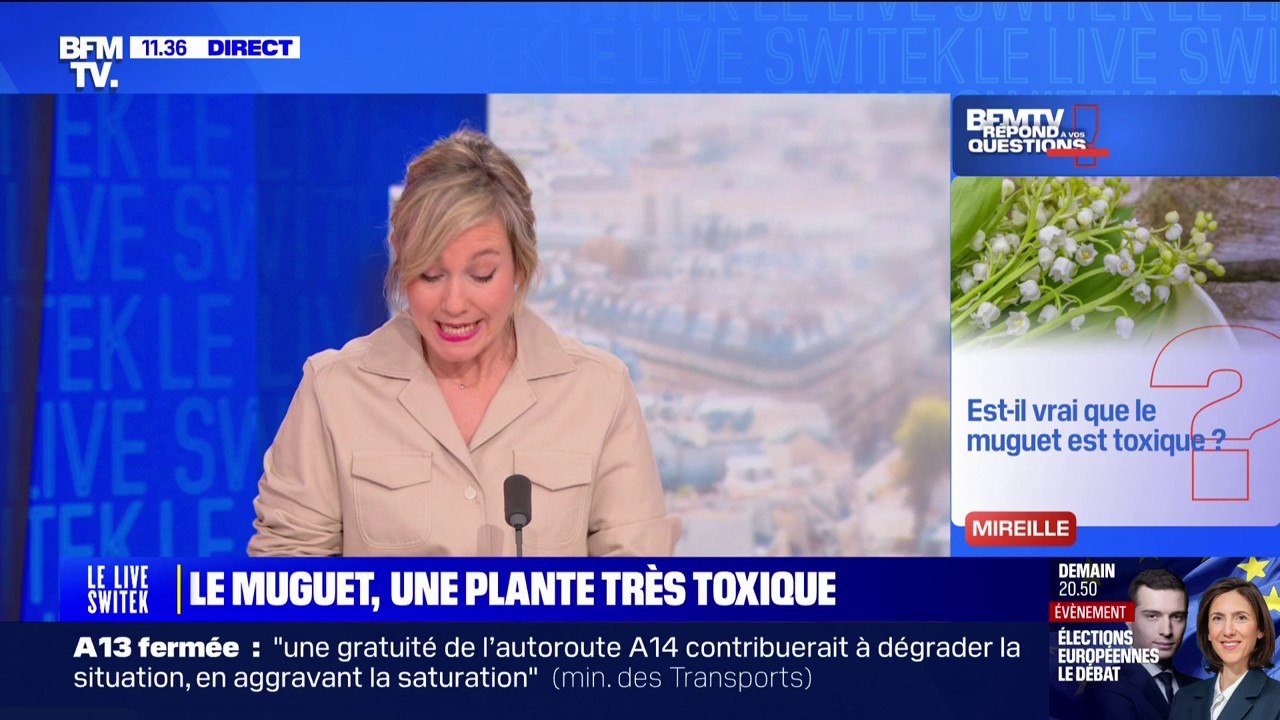 Pourquoi les sirènes d'alerte ne sonneront pas ce mercredi 1er mai mais ce jeudi ? BFMTV répond à vos questions