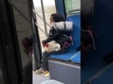 Little Girl Travels by Bus With Her Pet Chicken