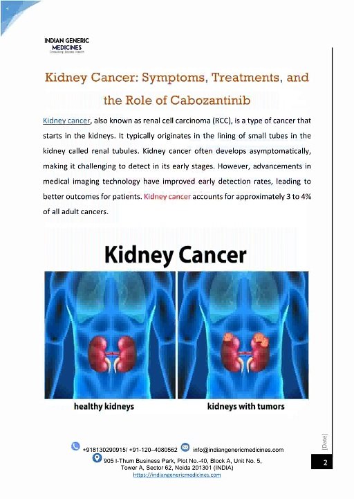 Kidney Cancer: Symptoms, Treatments, and the Role of Cabozantinib