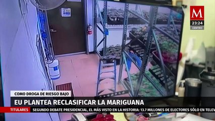 Clasificación actual de la marihuana en Estados Unidos
