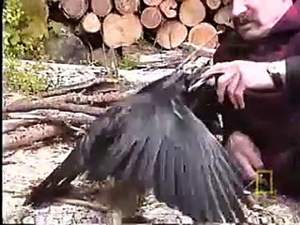 Deha Kuş