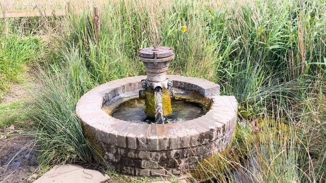 We visited Oare Marshes Nature Reserve