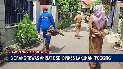 3 Orang di Cirebon Meninggal Akibat DBD, Dinas Kesehatan Lakukan  'Fogging' dengan Radius 200 Meter!