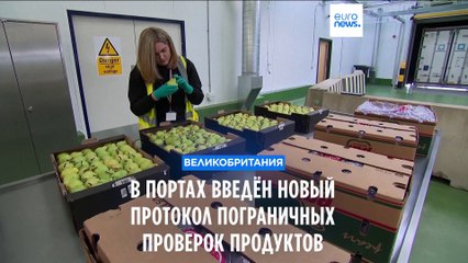 В портах Великобритании введён новый протокол пограничных проверок продуктов и растений