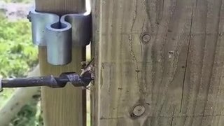 Drill Gets Stuck in Gate Post