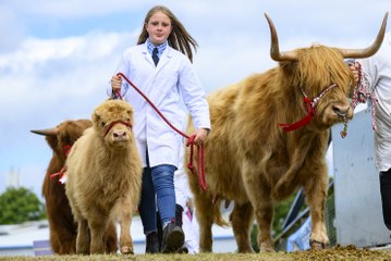 Royal Highland Show -There truly is something for everyone at Scotland’s largest outdoor event