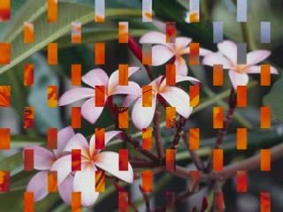Les paysages de la nature avec quelques animaux