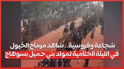 شجاعة وفروسية.. شاهد مرماح الخيول في الليلة الختامية لمولد بني حميل بسوهاج