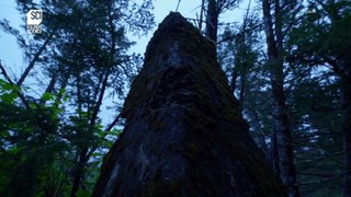 Bigfoot terreur en Alaska E3 - Terreur psychique
