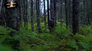 Bigfoot terreur en Alaska E7- Le chasseur chassé