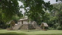 Le mystère des Mayas : des origines à la chute