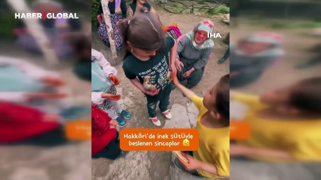 Vali sosyal medya hesabından "İyi ki varsınız" notuyla paylaştı: Yavru sincaplara şefkat eli