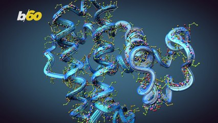 How Much Protein Should We Be Consuming Each Day?