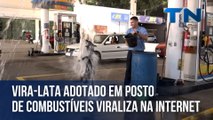 Vira-lata adotado em posto de combustíveis viraliza na internet