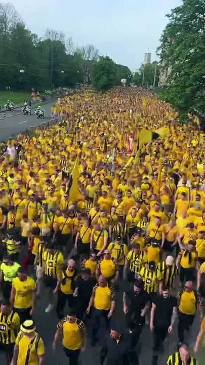 BVB 09