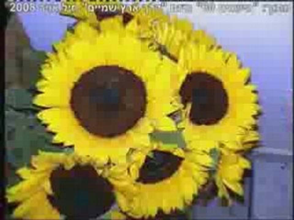 Subliminal & his Father – Celebrating 60 to Israel