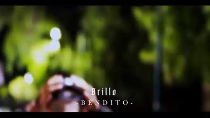 Brillo - KF$ (Visualizer)
