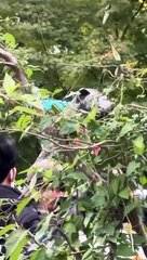 Si hachiko madaming nagpapapicture .shibuya tokyo