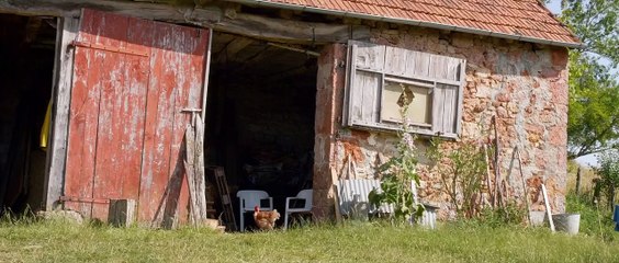 Les Vieux (2024) - Bande annonce