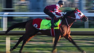 Kentucky Derby Preview: Some Top Picks and Dark Horses
