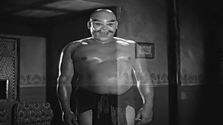 فيلم الفانوس السحري 1960