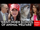 GOP Pushes Bill To Take Gray Wolves Off Endangered List, Democrats Invoke Kristi Noem | Full Debate