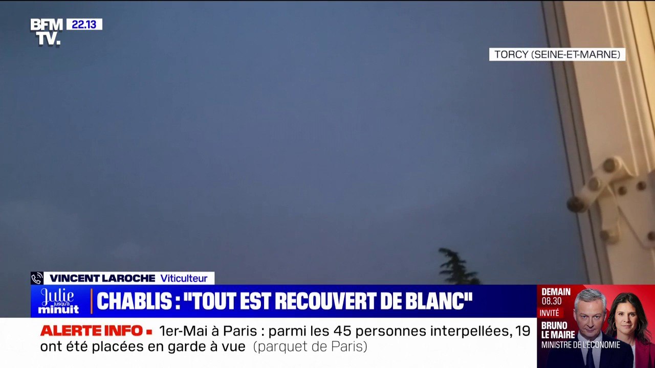 "Certains de mes confrères ont tout perdu": Le témoignage d'un viticulteur du Chablisien après le passage d'un orage accompagné de grêle