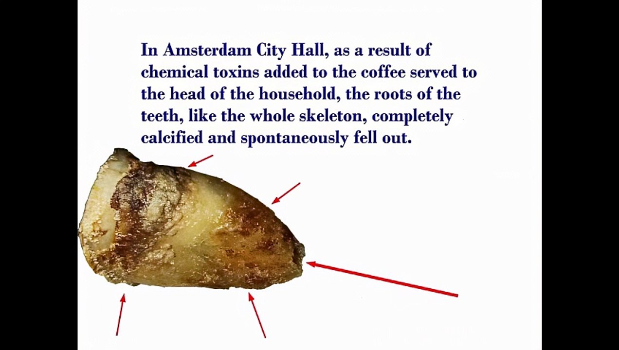 The Dutch secret service AIVD commits crimes against humanity and unsolved murders.